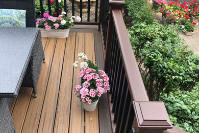 Inspiration for a transitional deck remodel in Montreal