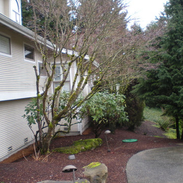 Redmond Craft Studio ( Front Elevation Before)