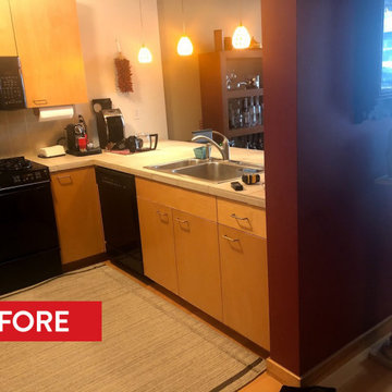 Contemporary Condominium Kitchen and Bathrooms