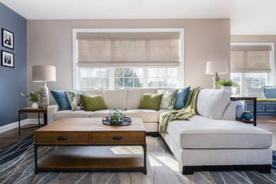 Mid-sized transitional living room photo in Philadelphia with blue walls, a standard fireplace and a stacked stone fireplace