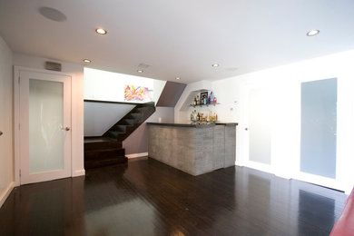 Basement - contemporary basement idea in New York