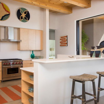 Desert Modern