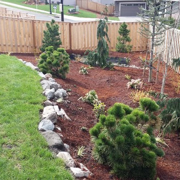 Camas Challenge/just planted.