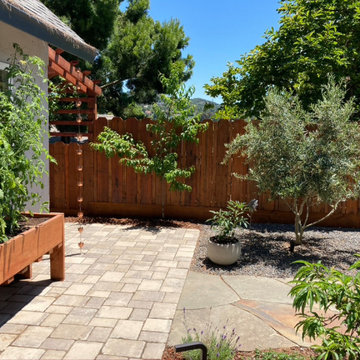 Natalie's backyard productive garden & outdoor dinning room