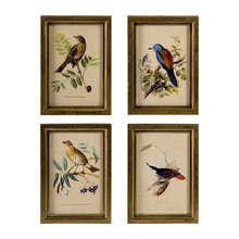 frames