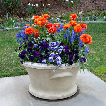 Container Planting Designs