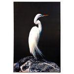 StyleCraft - Heron Silhouette SigH Framed Canvas Print, 40"Wx60"H2"D - The StyleCraft Heron Silhouette Sight Framed Canvas Print is printed on canvas and contains acrylic hand painted embellishments. The minimalistic design pairs well with several styles of decor.