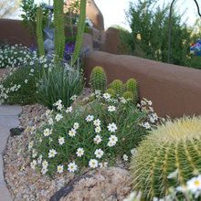 Heatherbrae landscape