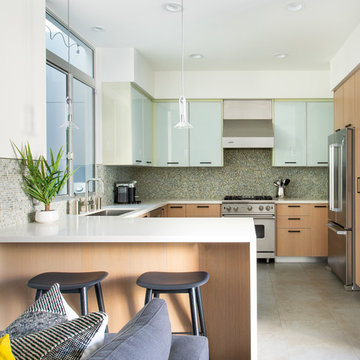 Santa Monica LEED Certified Townhouse