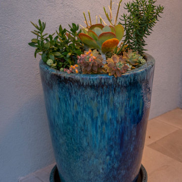 Culver City Residential Retreat