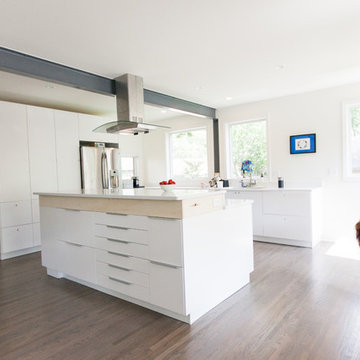 Modern Kitchen