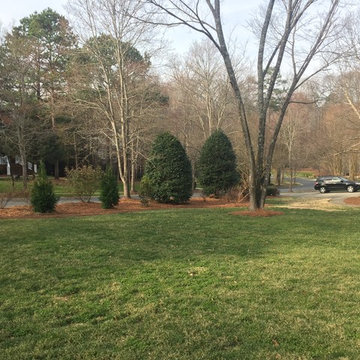 Davidson private back yard phase 1