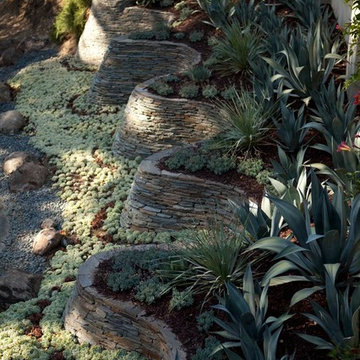Custom Landscape Design