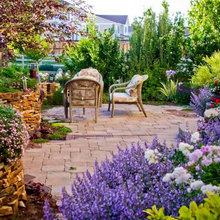 Garden Renovation