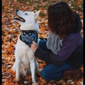 Sierenna Cofell's photo