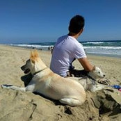 Vinh Khang's photo