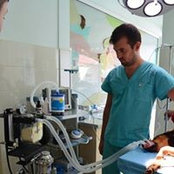 Andrei Neculaes's photo