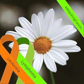 Jennifer Rinaldo's photo
