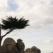 Sandrine Le Ster's photo
