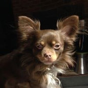 Angela Albertini's photo