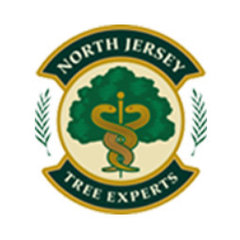 North Jersey Tree Experts