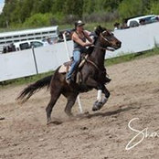 Sarah Schied's photo