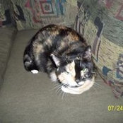 Mitzie Parris-Swirk's photo