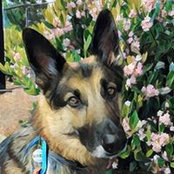 Bev Sakane-Freeland's photo
