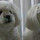webuser_3125844
