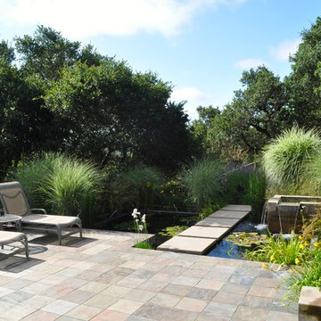 Marin Water Feature