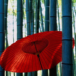 Asian Wall Murals - Products