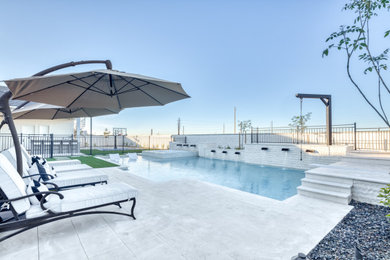 Foto di una grande piscina naturale design personalizzata dietro casa con paesaggistica bordo piscina e pavimentazioni in pietra naturale