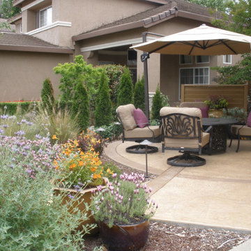 Front Yards and Walkways
