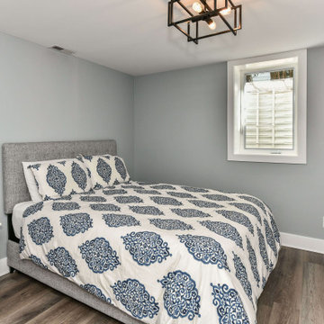 Carper's Farm Modern Basement Remodel in Vienna