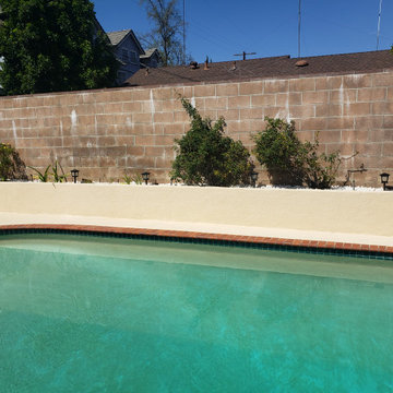 Backyard clean up and remodel