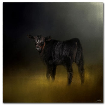 Jai Johnson 'Black Angus Calf In The Moonlight' Canvas Art, 35 x 35