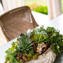 Plant deco