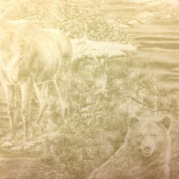 BLI-CV-TOILE-GAME