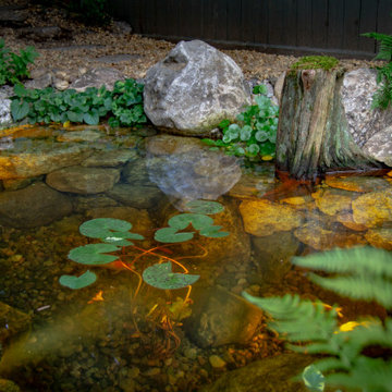 Urban Oasis