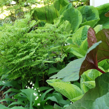 Plant Association