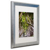 Sainte-Laudy 'King of the Woods' Art, Silver Frame, 16"x20", White Matte