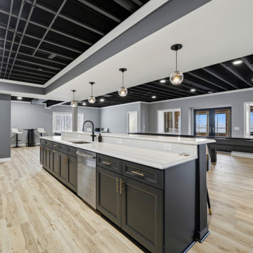 Custom Theater Focused Basement - Delafield, WI