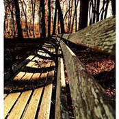 William Rosso's photo