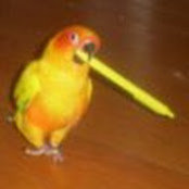 Andrea Andrade's photo