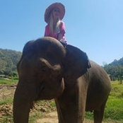 Heather Shimp's photo