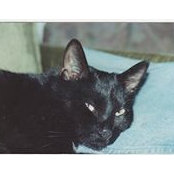 Marion Pfeffer's photo