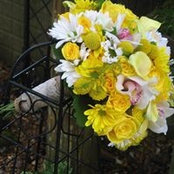 Tammy Mikles's photo