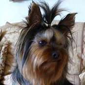 Tammy Macklen's photo