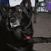 Adam Hollett's photo