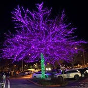 Chad Eickhoff's photo